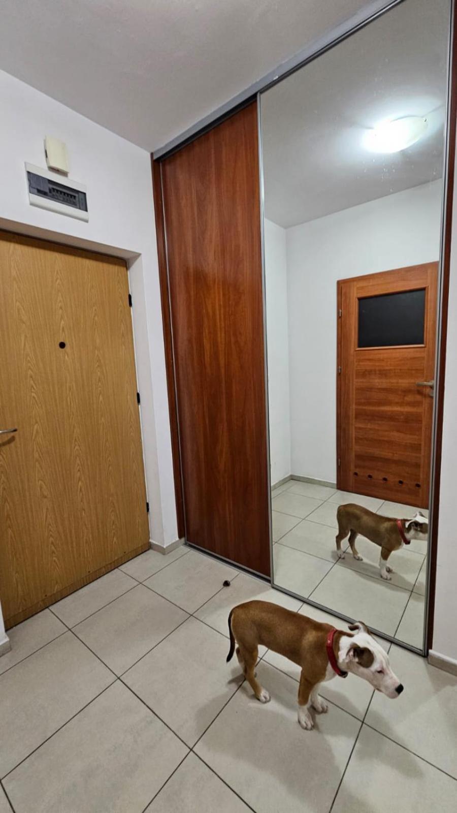 Apartament Lipinskiego Kraków Exteriör bild