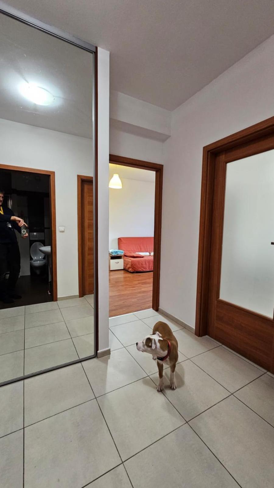 Apartament Lipinskiego Kraków Exteriör bild