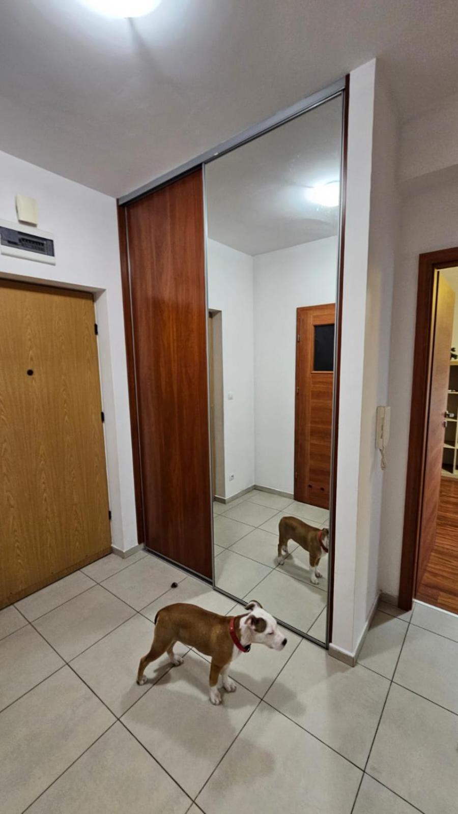 Apartament Lipinskiego Kraków Exteriör bild