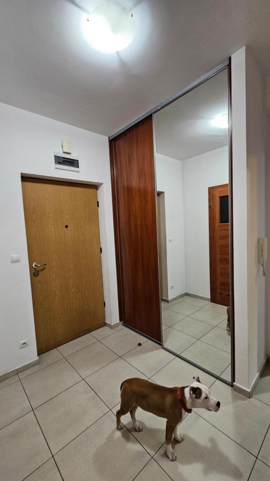 Apartament Lipinskiego Kraków Exteriör bild