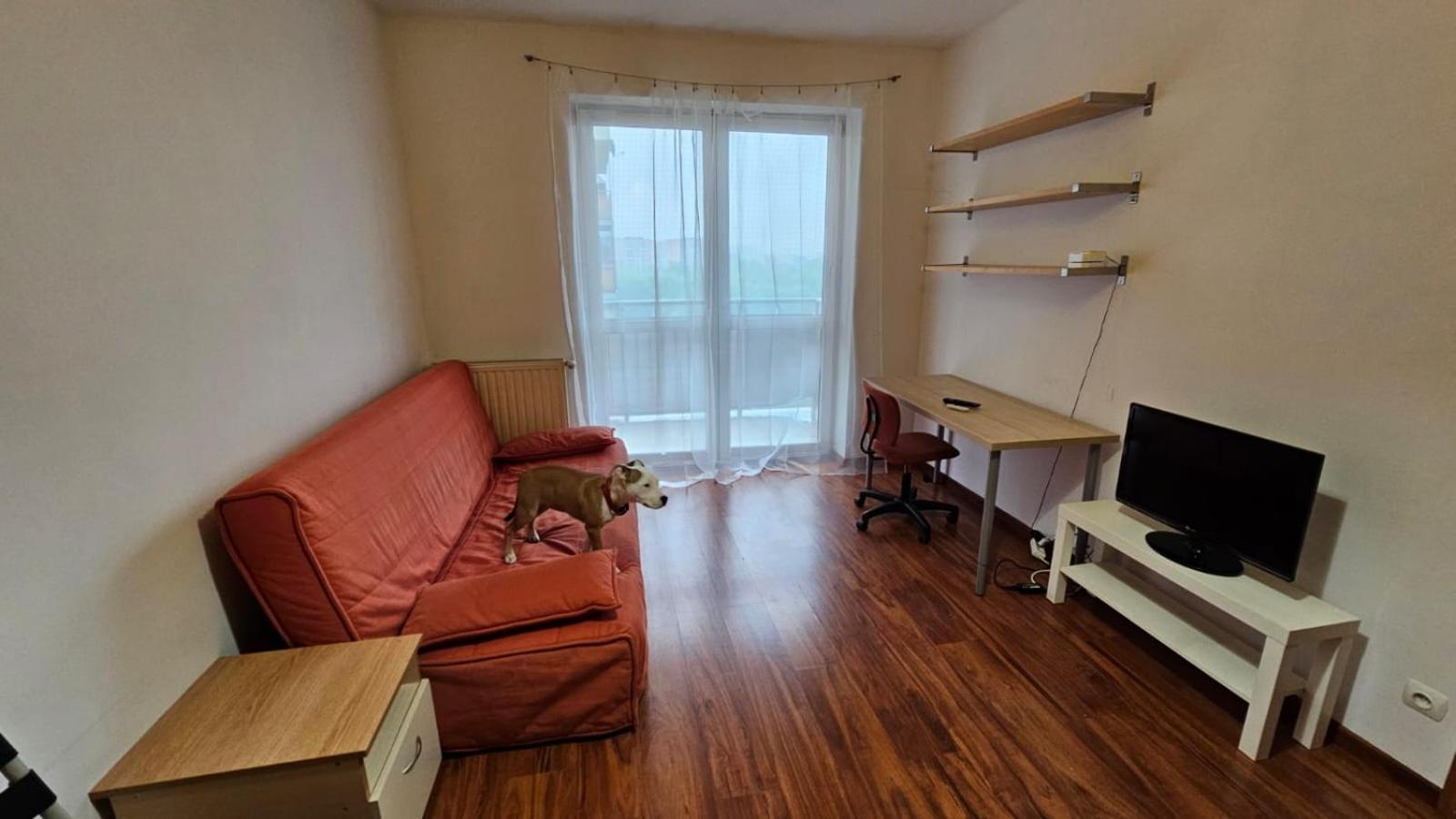 Apartament Lipinskiego Kraków Exteriör bild